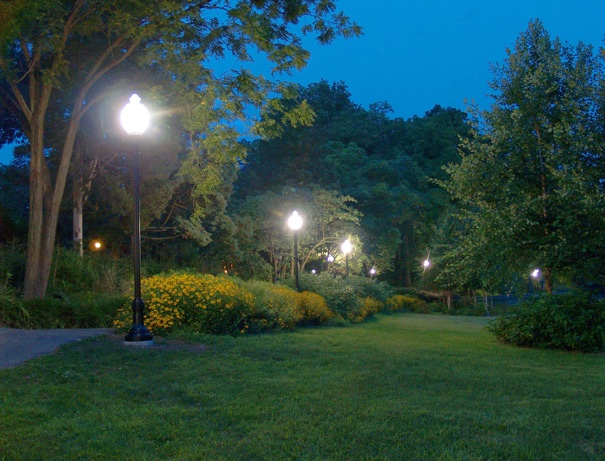 arboretum with lights